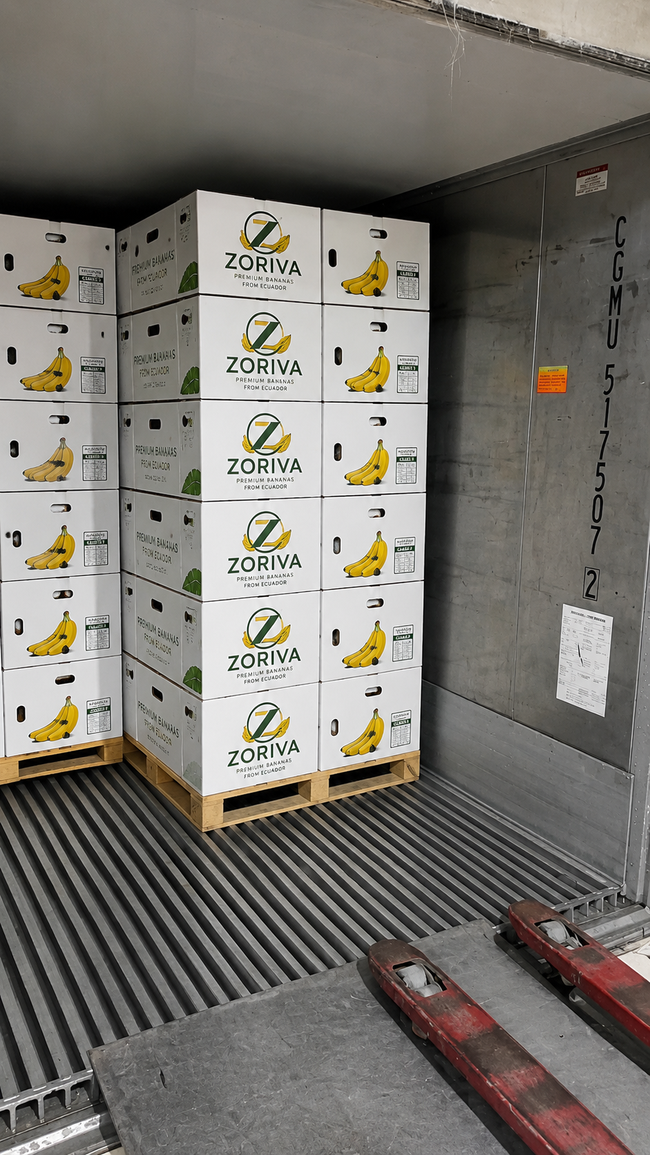 Export Ready
