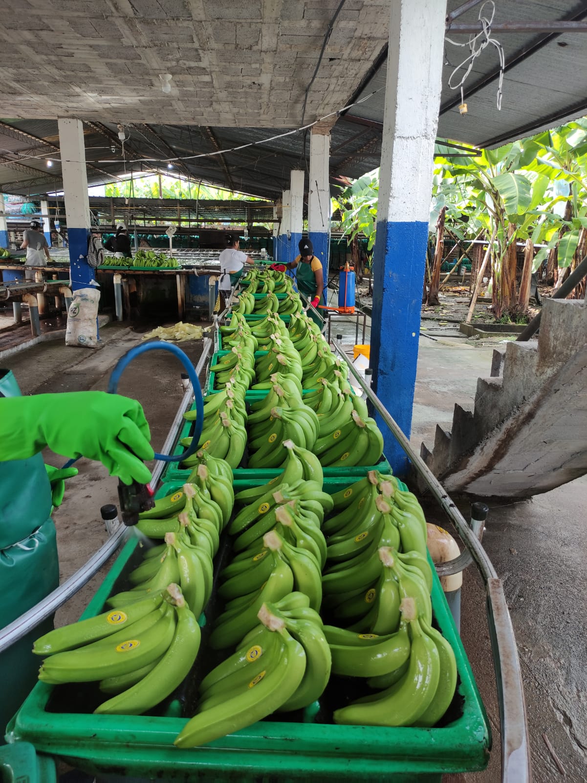 Vacuum Bag