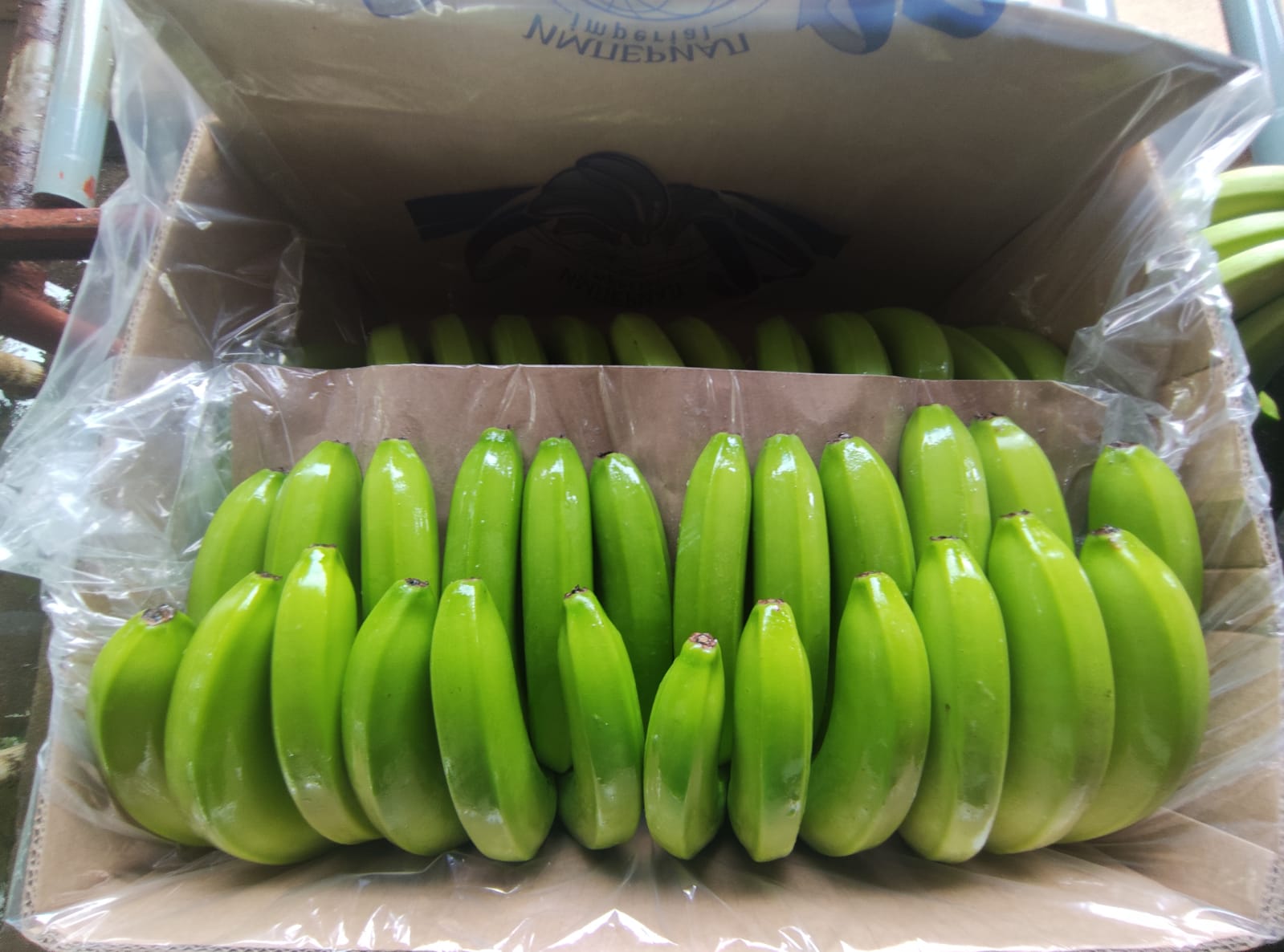 Class A bananas
